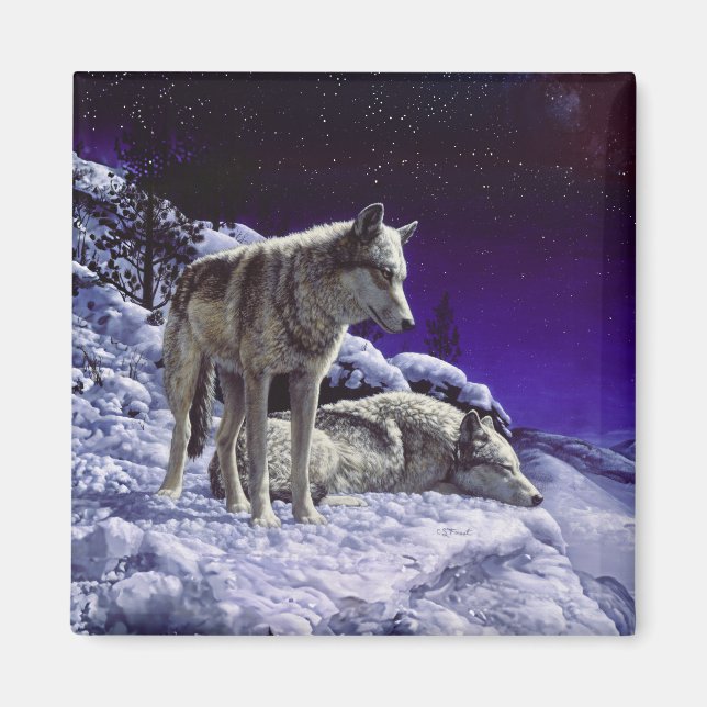 Imã Lobos cinzas na neve de inverno à noite (Frente)