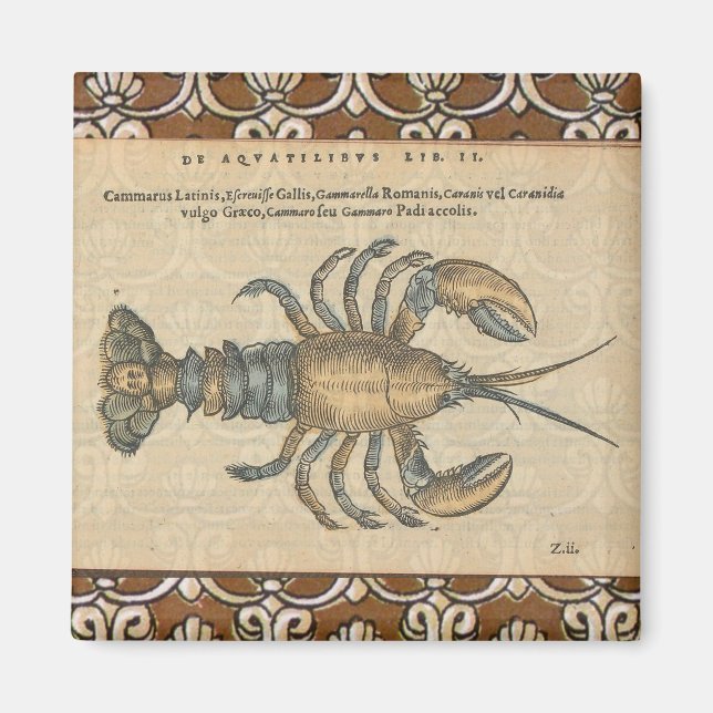 Imã Lobster Illustration Antique Maine Seafood (Frente)