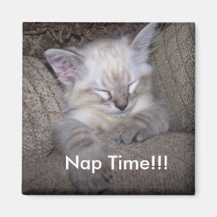 Imã locker imnet ...Hora do nap