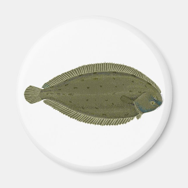 Imã Logotipo de peixe simples (Frente)