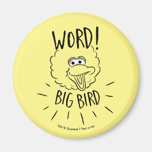 Imã Logotipo de skate do Big Bird - Palavra! Big Bird