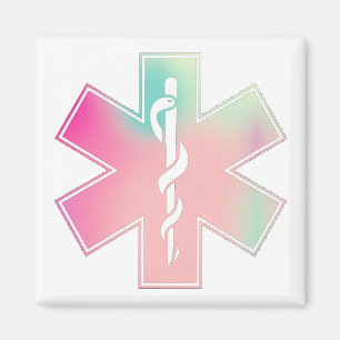 Imã Logotipo do EMS - "algodão doce "
