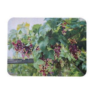 Ímã Loire Valley Vineyard – French Grape Painting