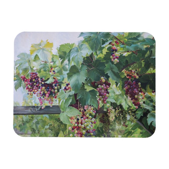 Ímã Loire Valley Vineyard – French Grape Painting (Horizontal)