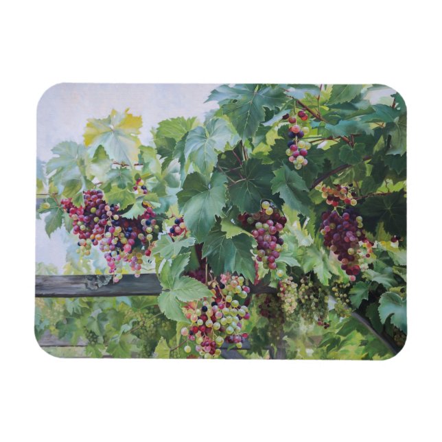 Ímã Loire Valley Vineyard – French Grape Painting (Horizontal)
