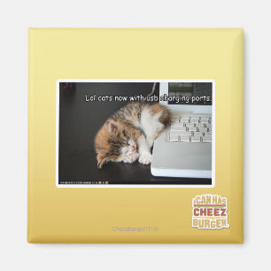 Imã Lol cats com USB