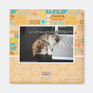 Imã Lol cats com USB