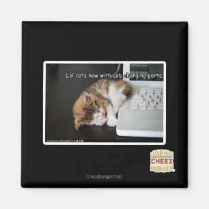 Imã Lol cats com USB