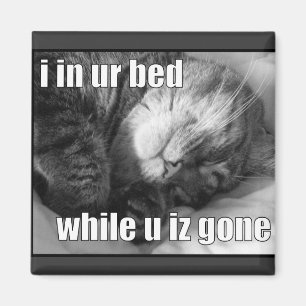 Imã LOLCat 1