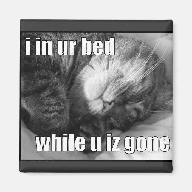 Imã LOLCat 1 (Frente)