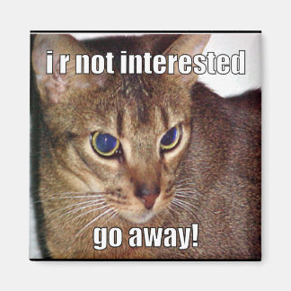 Imã LOLCat 3