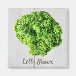 Imã Lollo Bianco Salad alface para Vegans