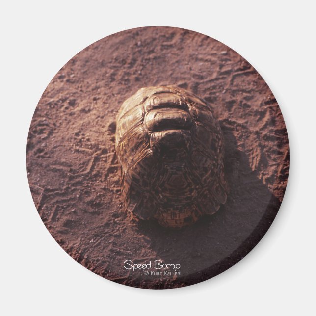 Imã Lombada (Frente)