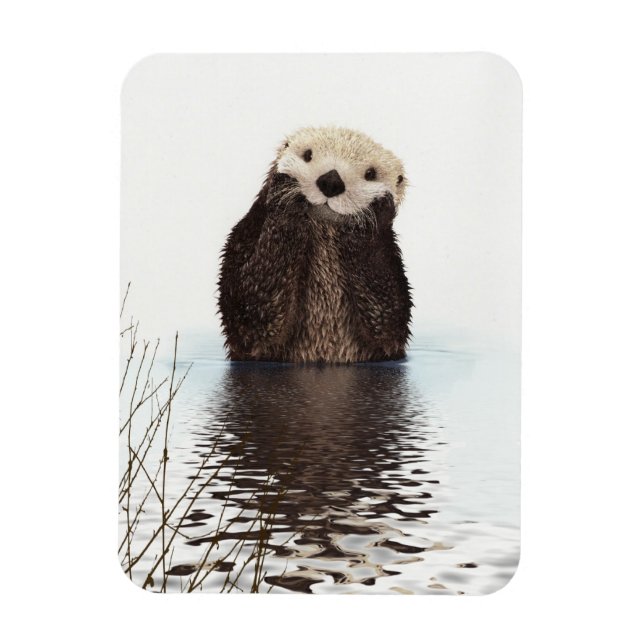 Ímã Londra Adorável Nutria Fofa Animal (Vertical)