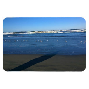 Ímã Long Beach, Washington