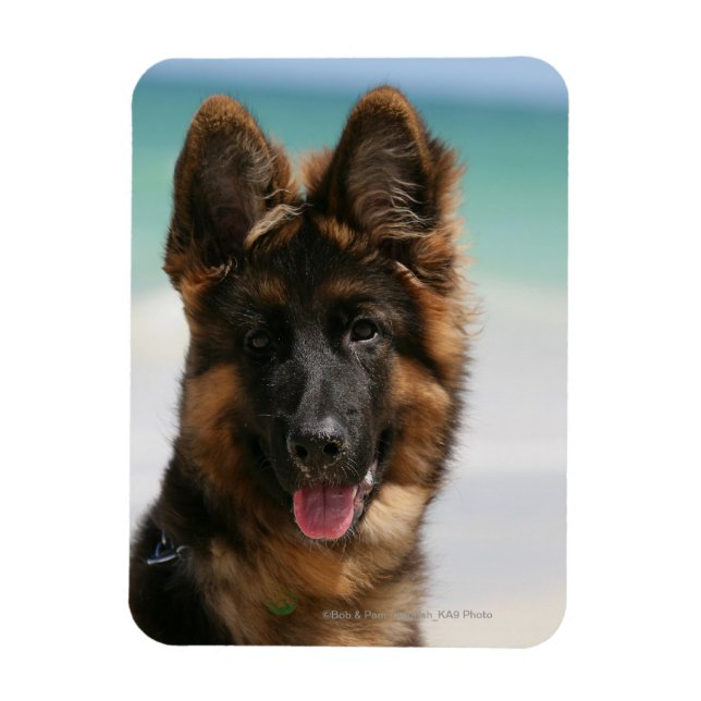 Ímã Long Haired German shepherd Beach (Vertical)
