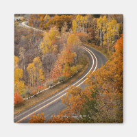 Longa exposição à condução de veículos em estrada