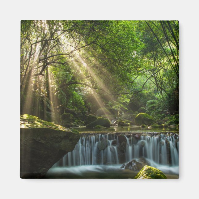 Imã Longquan Glamorous Creek (Frente)