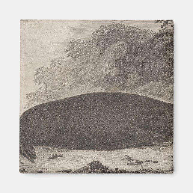 Imã Lontra marítima, Colúmbia Britânica (Frente)