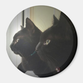 Imã looking out the window