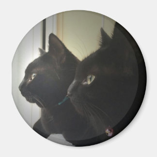 Imã looking out the window