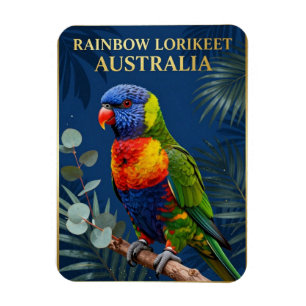 Ímã 🦜 Loriqueet Arco-íris Austrália Ave Tropical