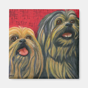 Imã Lotsa Lhasa Love