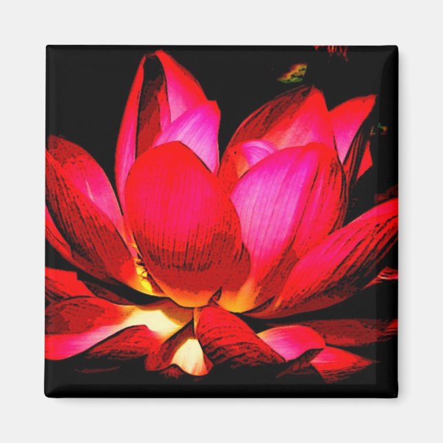 Imã Lotus (Frente)