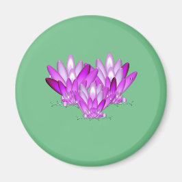Imã Lotus floresce rosa sobre fundo verde marinho