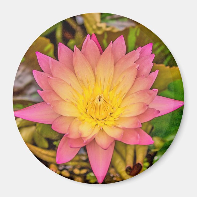 Imã Lotus Flower of Life (Frente)