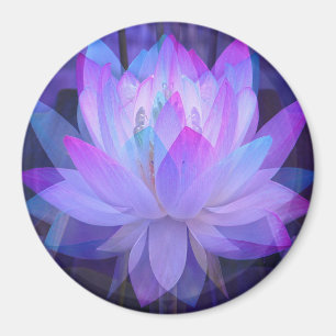 Imã Lotus no azul…