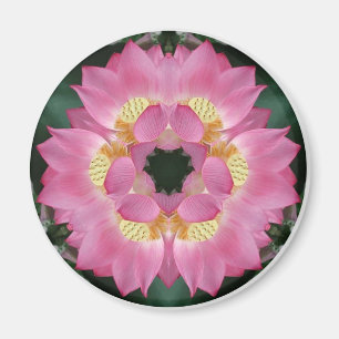 Imã Lotus Starburst