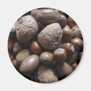 Imã Loucos! - ímãs