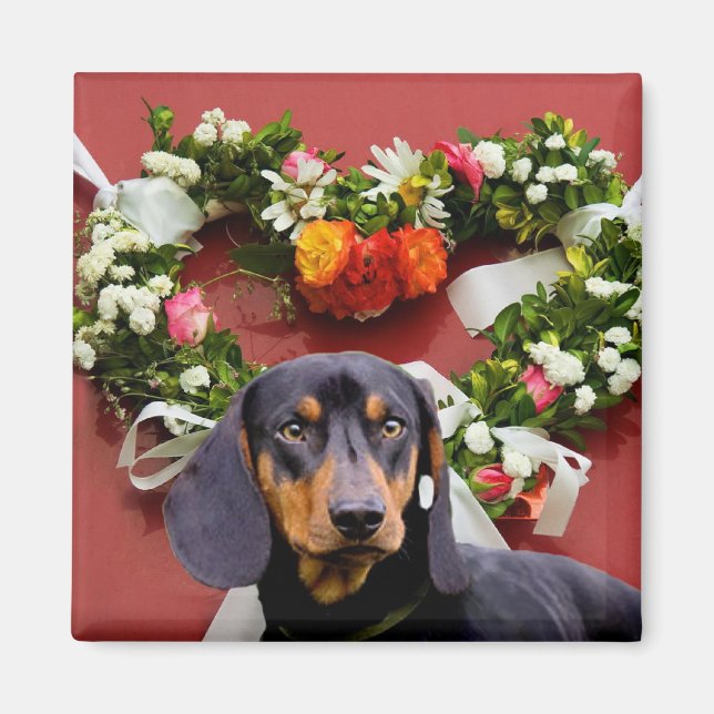 Imã Love Dachsund Magnet (Frente)