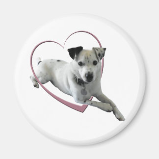 Imã Love Jack Russell Dog Gifts