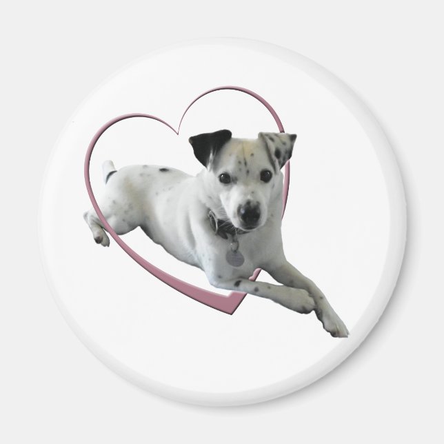 Imã Love Jack Russell Dog Gifts (Frente)