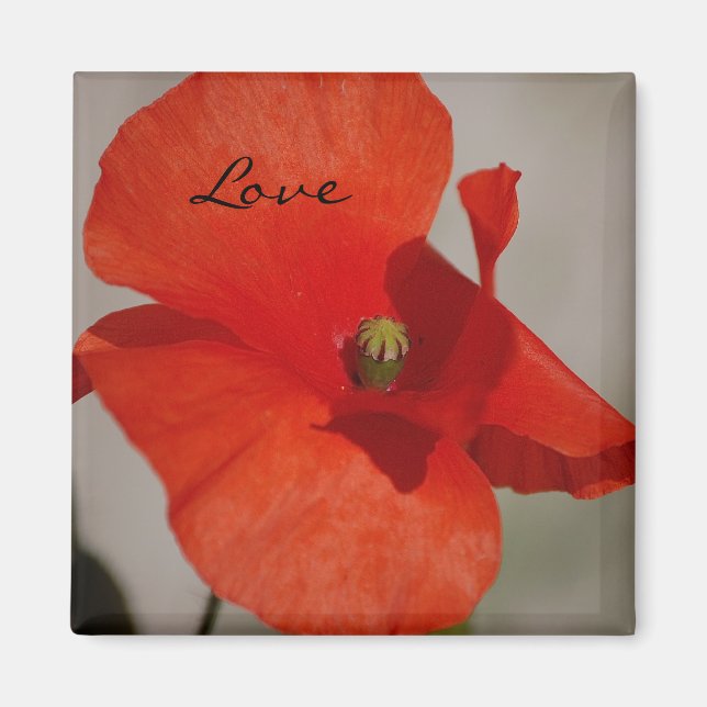 Imã Love Poppy Magnet (Frente)