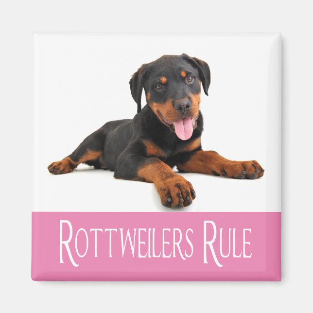 Imã Love Rottweiler Puppy Dog (Frente)