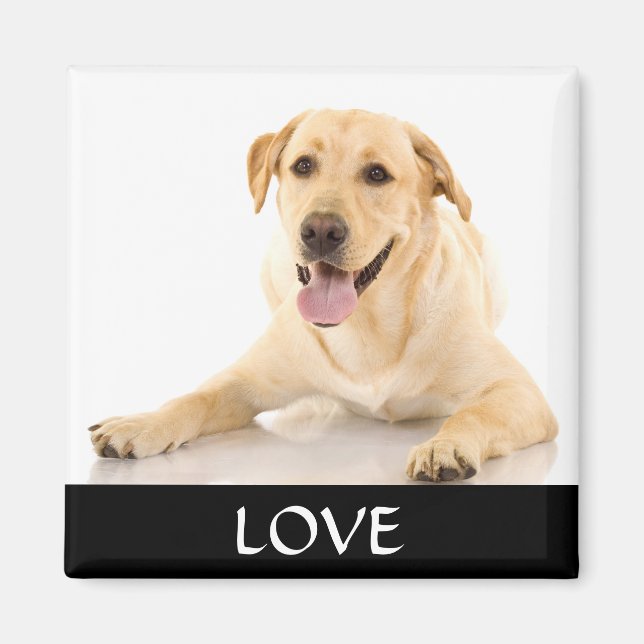 Imã Love Yellow Labrador Retreiver Magnet (Frente)