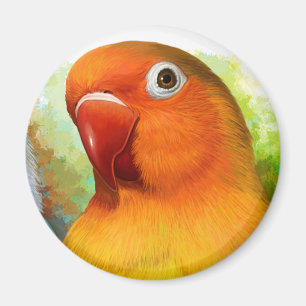 Imã Lovebird de Fischer
