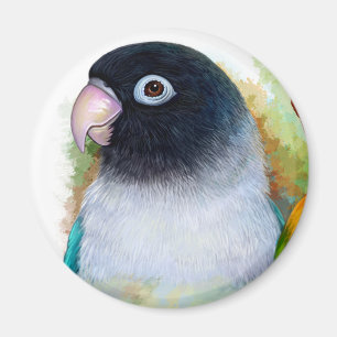 Imã lovebird Preto-mascarado