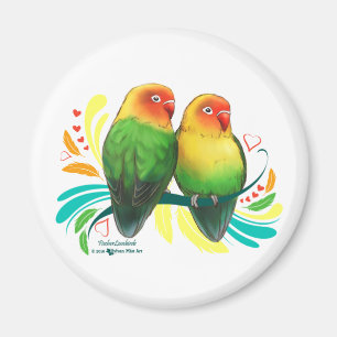 Imã Lovebirds de Fischer