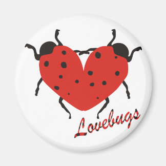 Imã Lovebugs