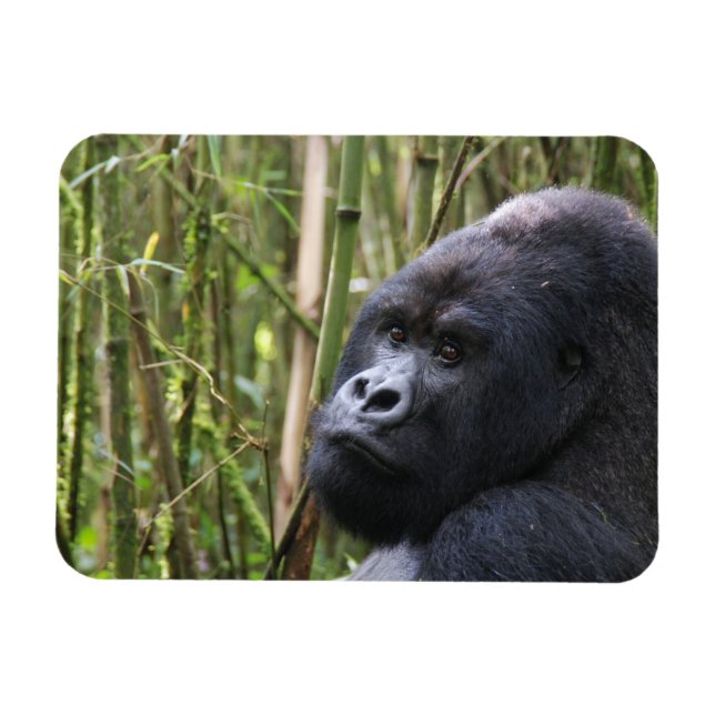 Ímã Lowland Gorilla Flexible Magnet (Horizontal)