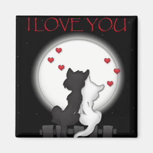 Imã Lua do amor