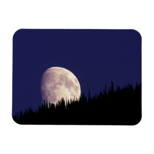 Ímã Lua & Floresta Parque Nacional Glacier Montana
