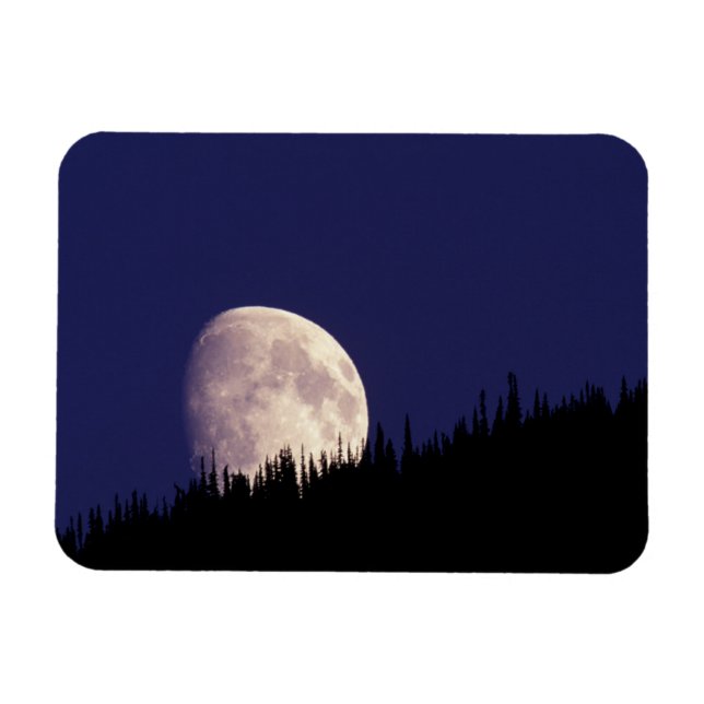 Ímã Lua & Floresta | Parque Nacional Glacier Montana (Horizontal)