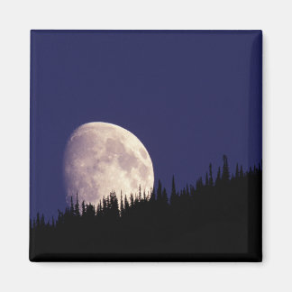 Imã Lua & Floresta | Parque Nacional Glacier Montana