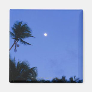 Imã Lua iluminada, silhueta de coqueiros