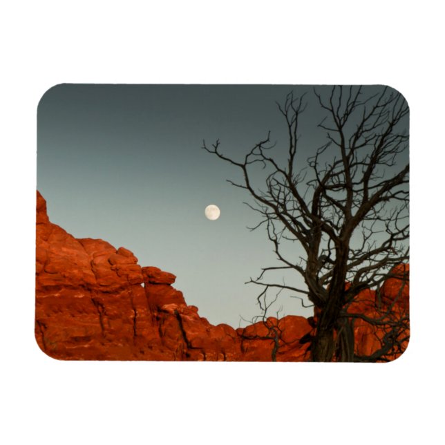 Ímã Lua Wicked (Horizontal)